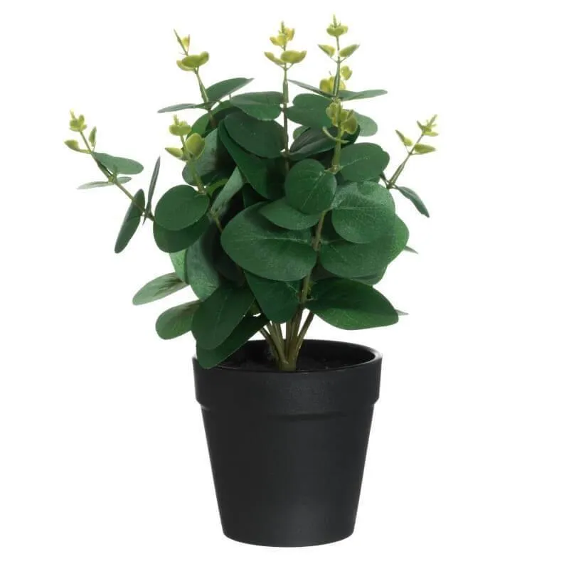 Kunstlill Eucalyptus