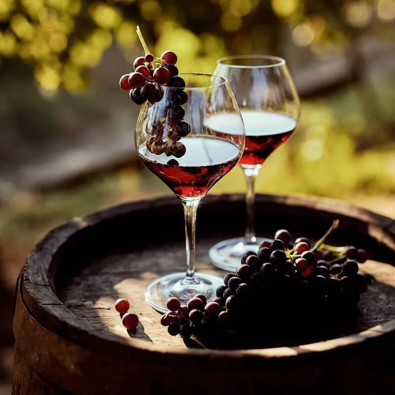 Klaaspilt Wine Glasses 30x30