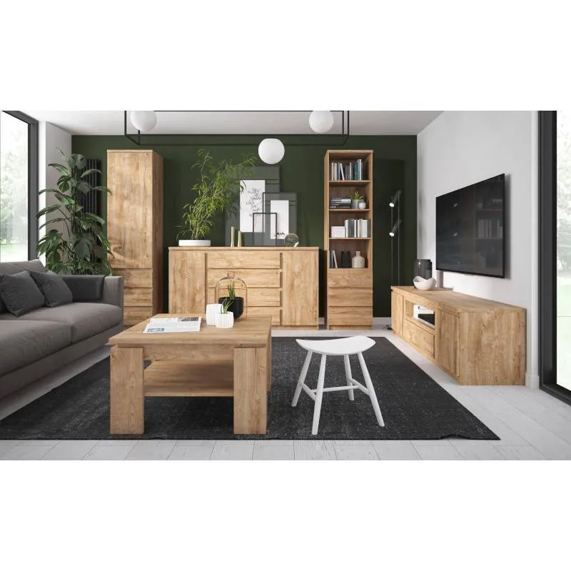 Tv-alus 165 Fribo kuldtamm