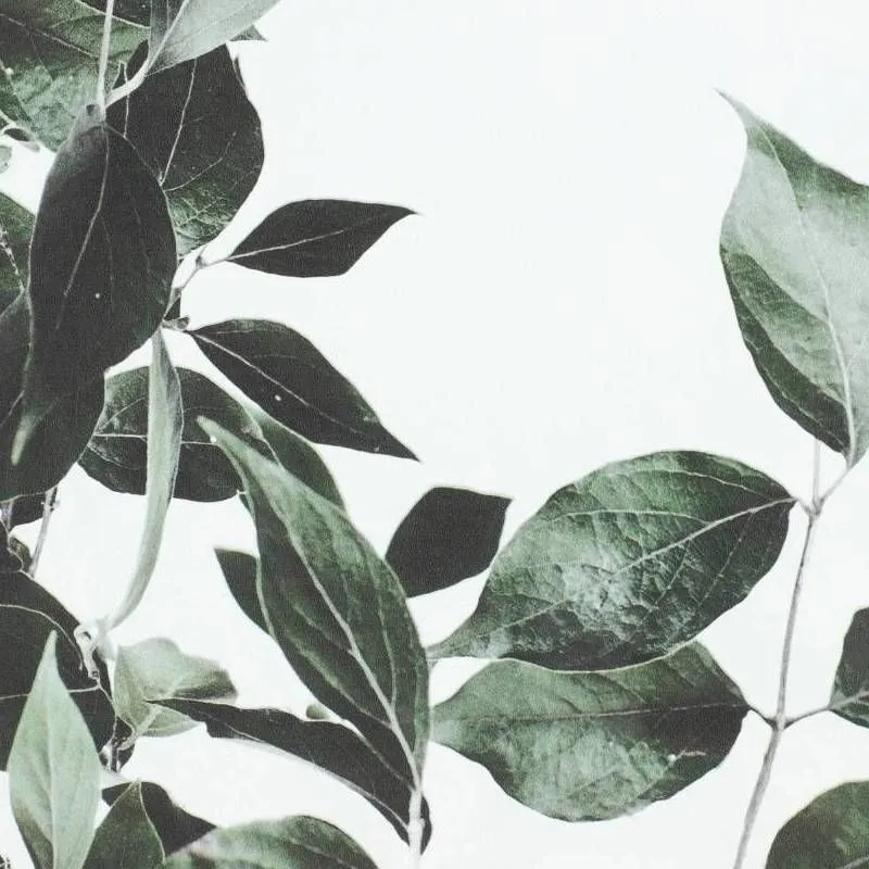Seinapilt Leaves 32x42.5 must/roheline