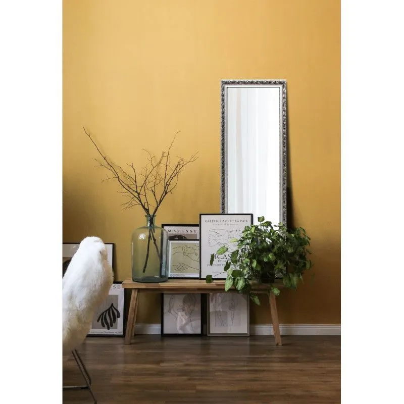 Peegel Sonja 50x150 hall