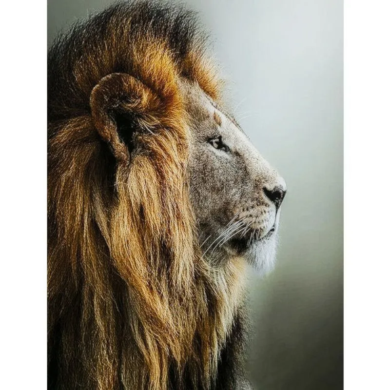 Klaaspilt Lion King 100x100