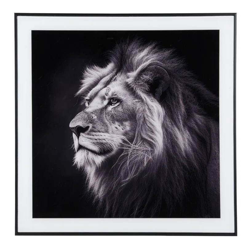 Seinapilt Lion 50x50 must/valge