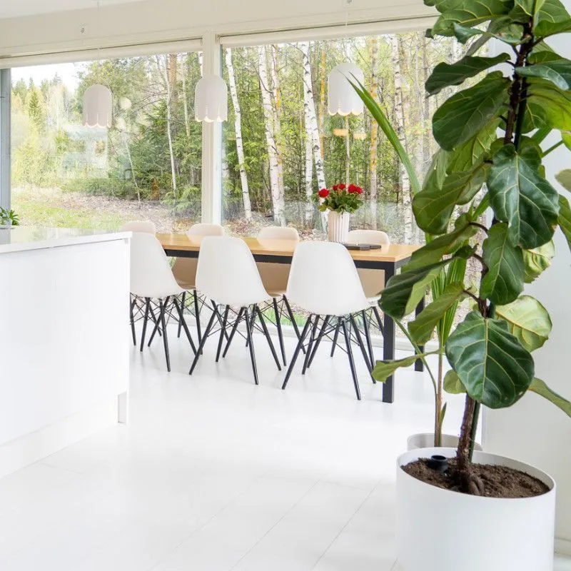 Sessak Ripplamp Kielo valge