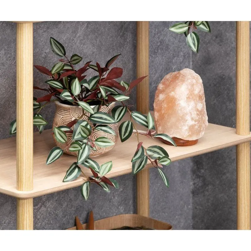 Kunsttaim Tradescantia Zebrina H22 roheline