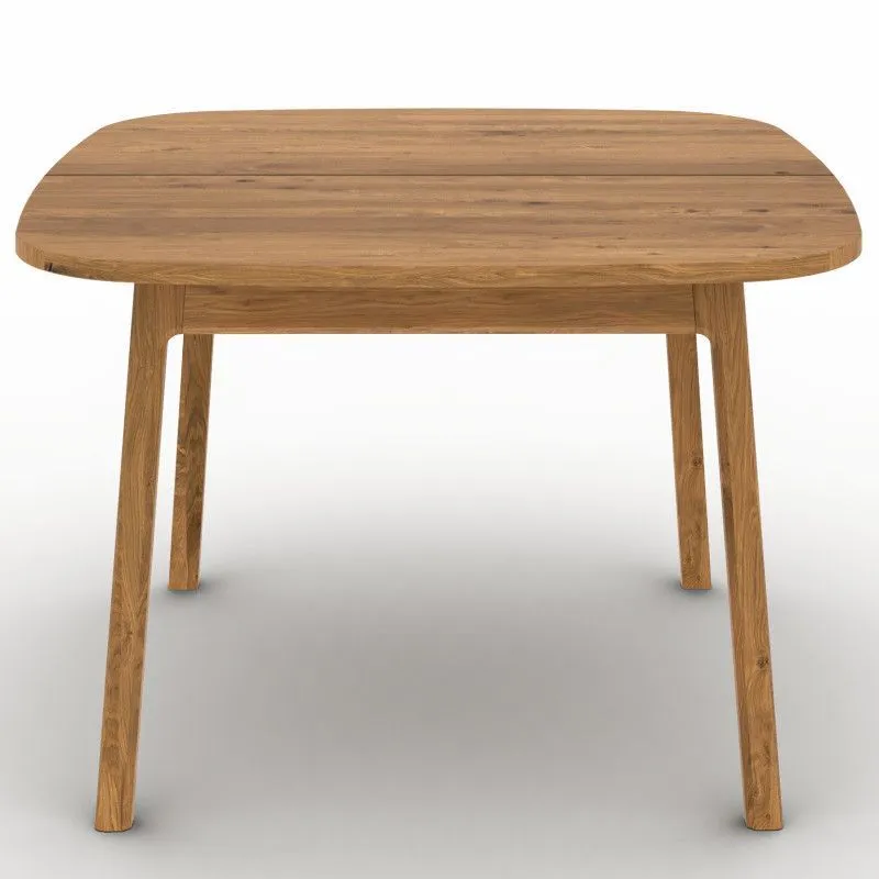 Söögilaud Rhett-Tw 160/200x100 õlitatud tamm