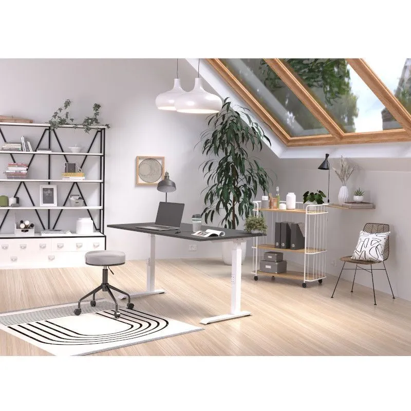 Reguleeritava kõrgusega kirjutuslaud Mailand-D 120x80 valge/grafiit