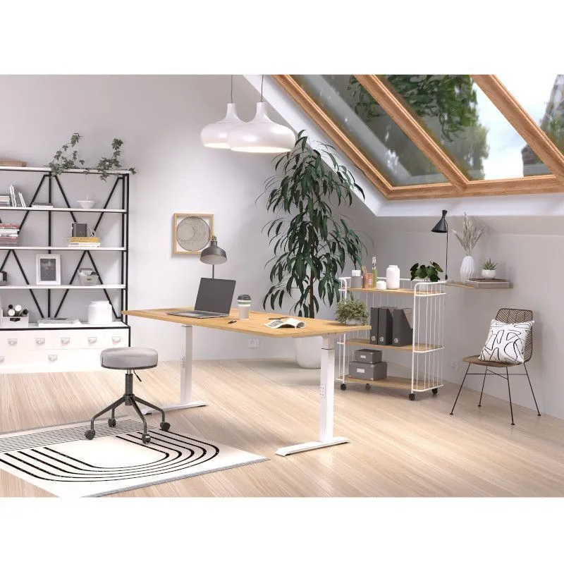 Reguleeritava kõrgusega kirjutuslaud Mailand-D 160x80 navarra tamm/valge