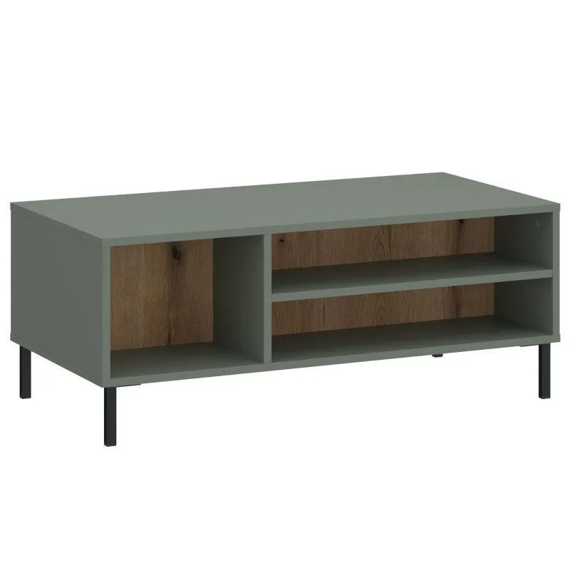 Diivanilaud Pozzi 100x60 salveiroheline/tamm