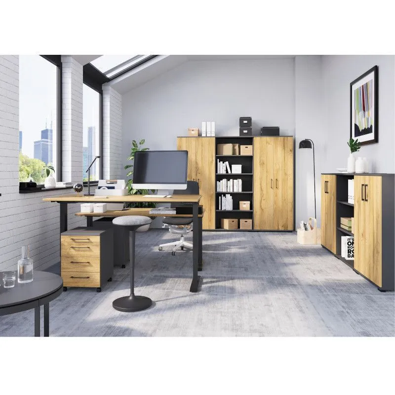 Reguleeritava kõrgusega laud Profi 3.0 160x80 grandson tamm/must