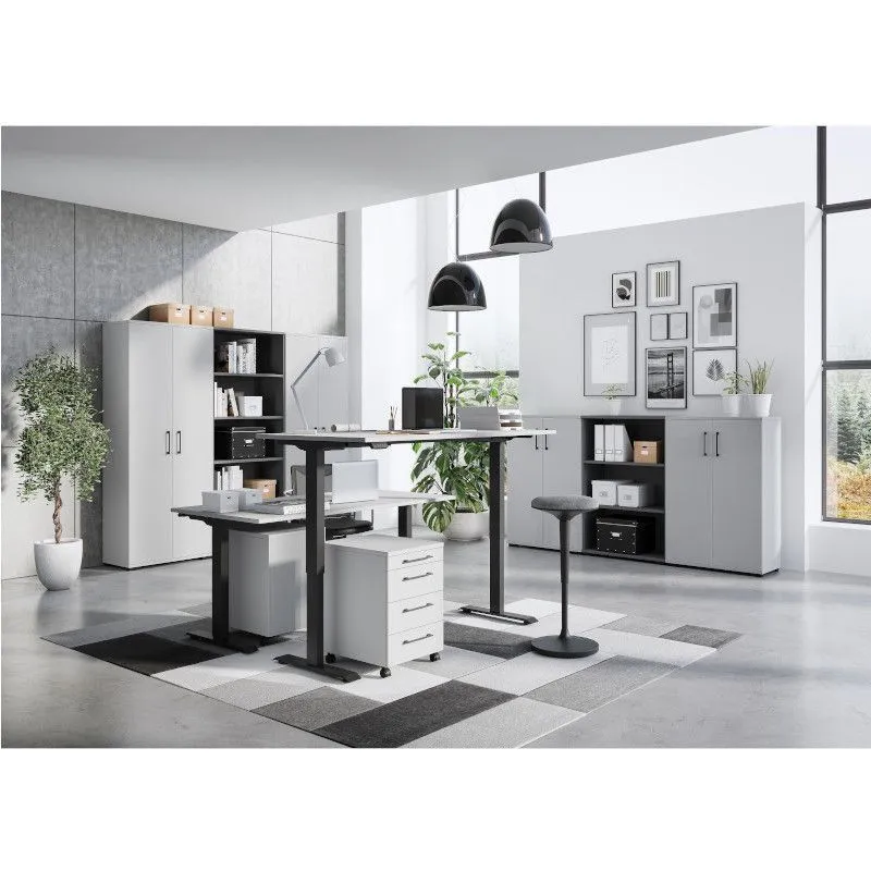 Sahtliboks Profi 3.0 4s helehall
