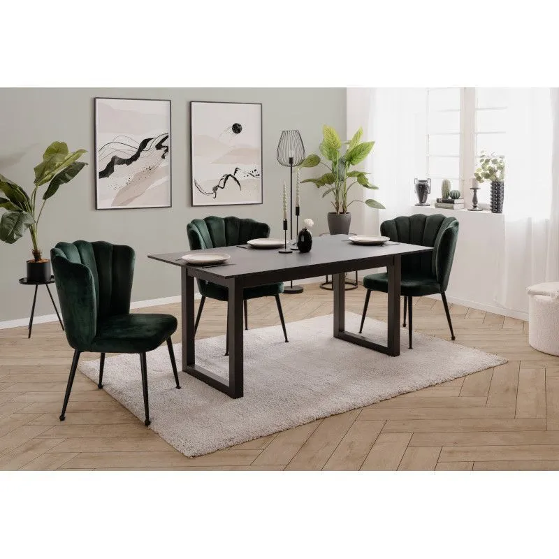 Tool Quinn tumeroheline