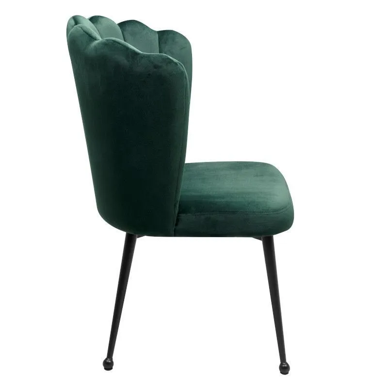 Tool Quinn tumeroheline