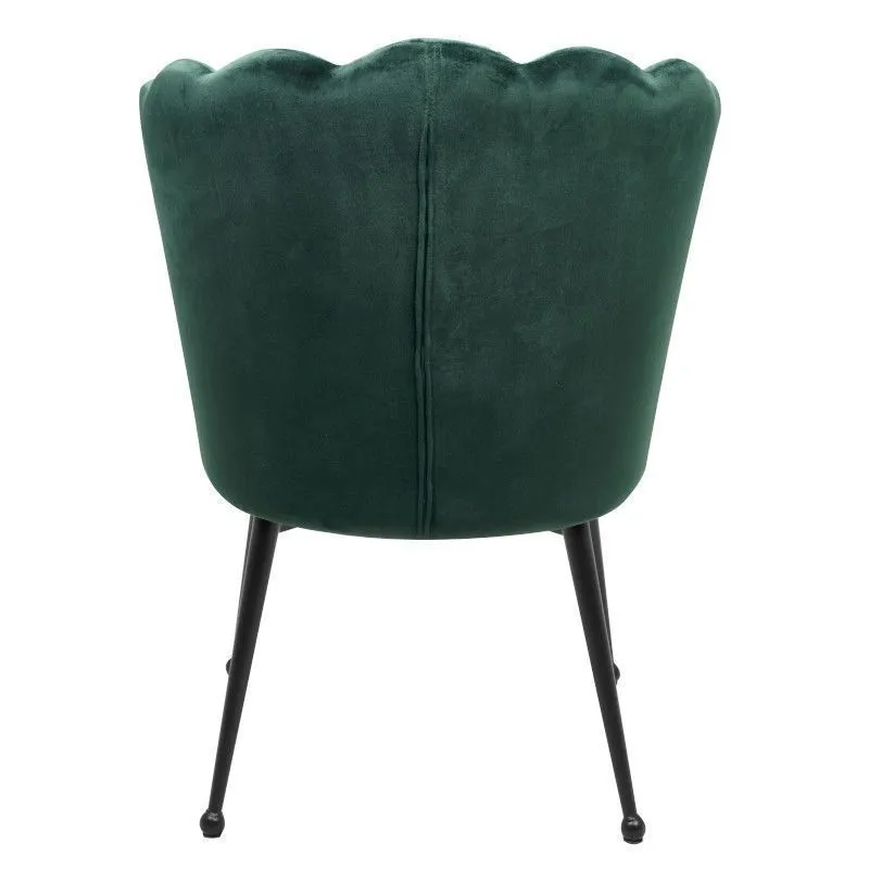 Tool Quinn tumeroheline