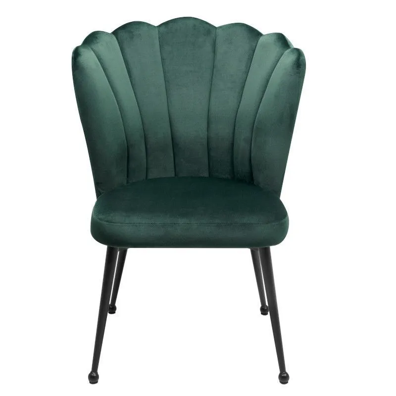 Tool Quinn tumeroheline