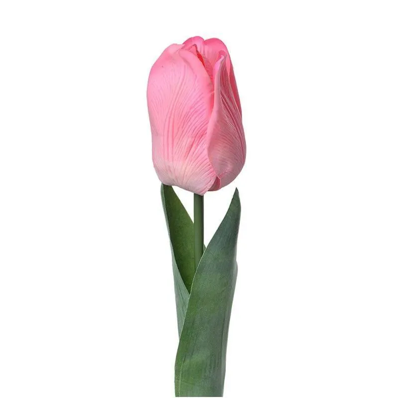 Kuntlill Tulp H50 roosa