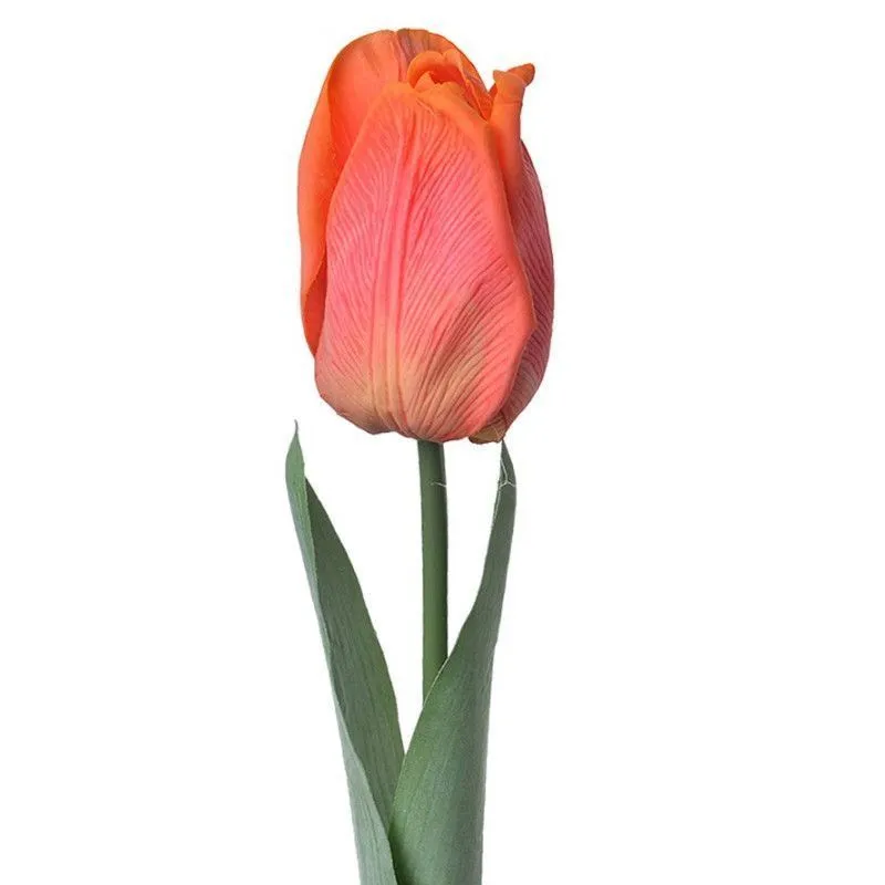 Kuntlill Tulp H50 punane
