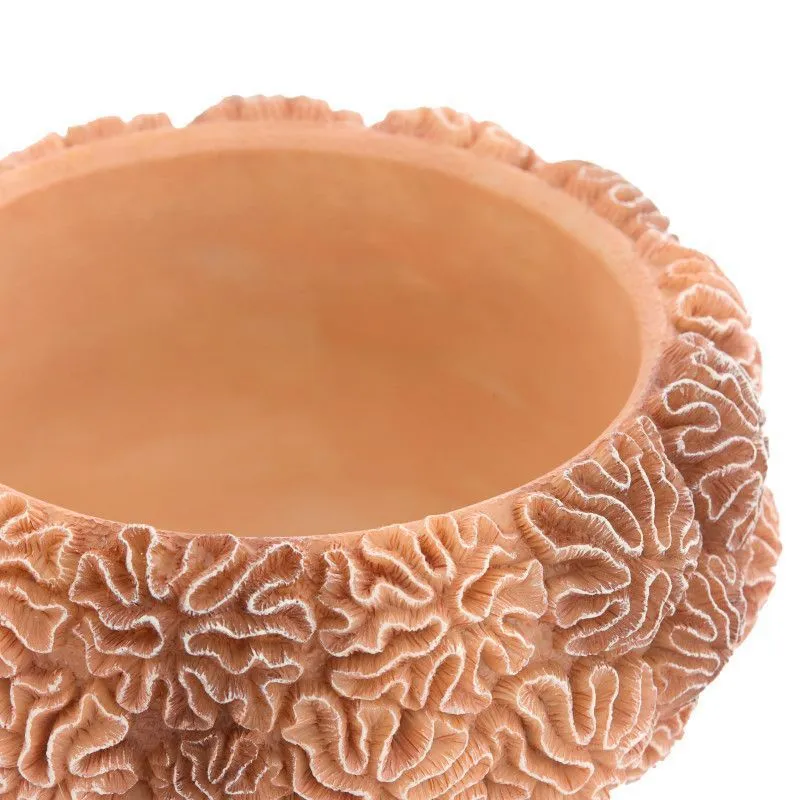 Toos kaanega Coral helepruun