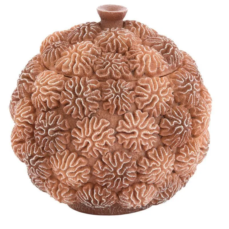 Toos kaanega Coral helepruun