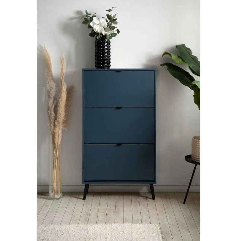 Jalanõudekapp Vigo 3s sinine/must