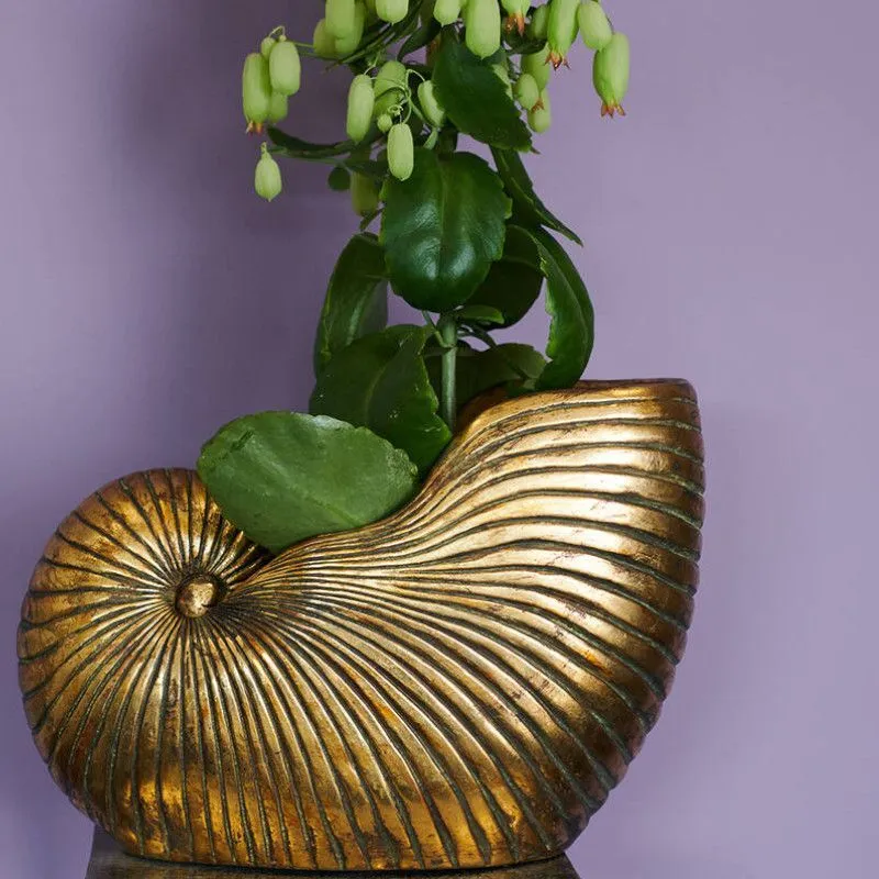 Lillepott Shell kuldne
