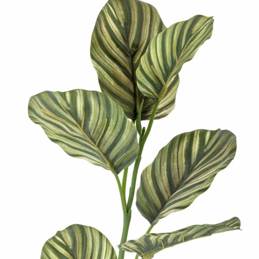 Kunstlill Zebra H79 roheline