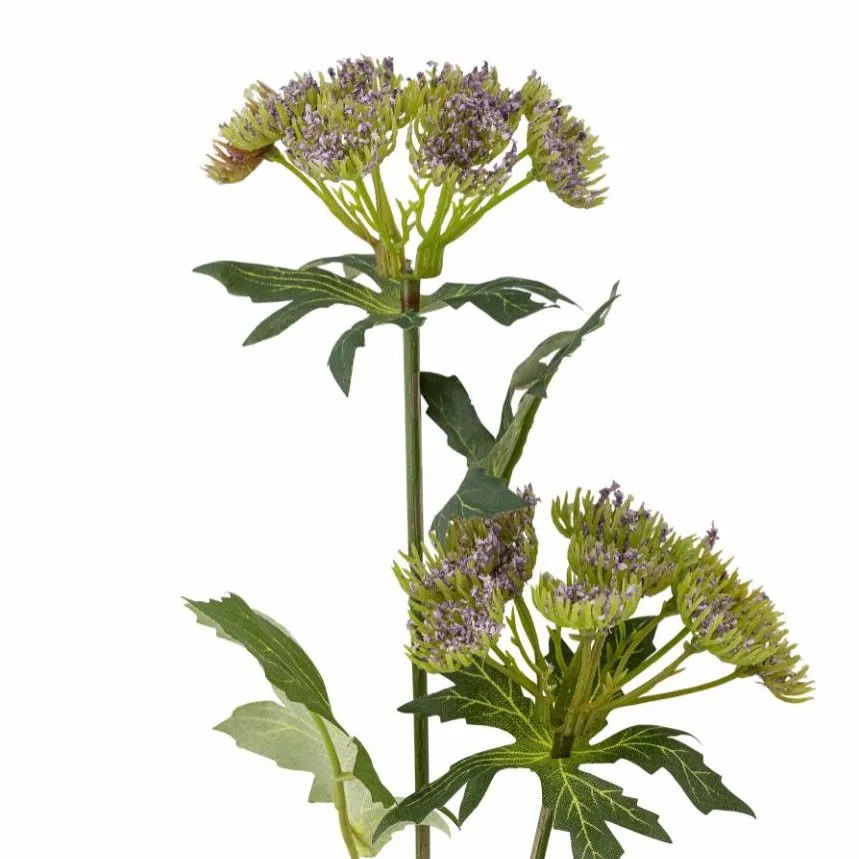 Kunstlill Throatwort H49 lilla/roheline