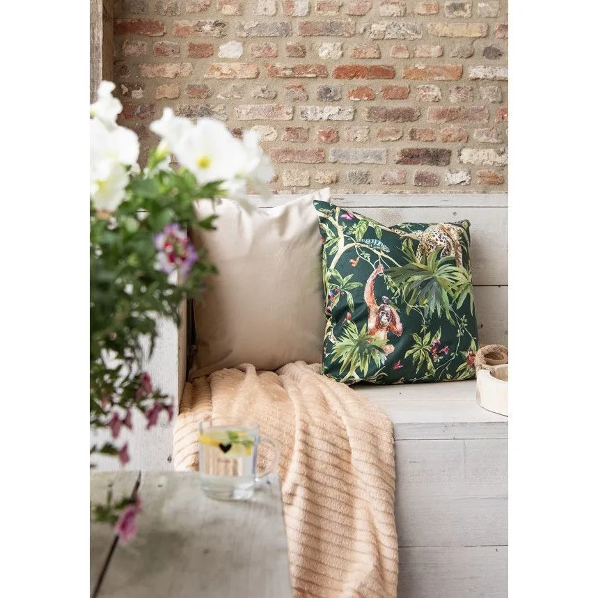 Pleed 180x200 helepruun