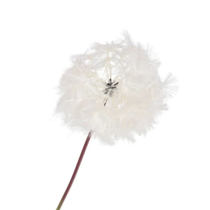 Kunstlill Dandelion H91 valge