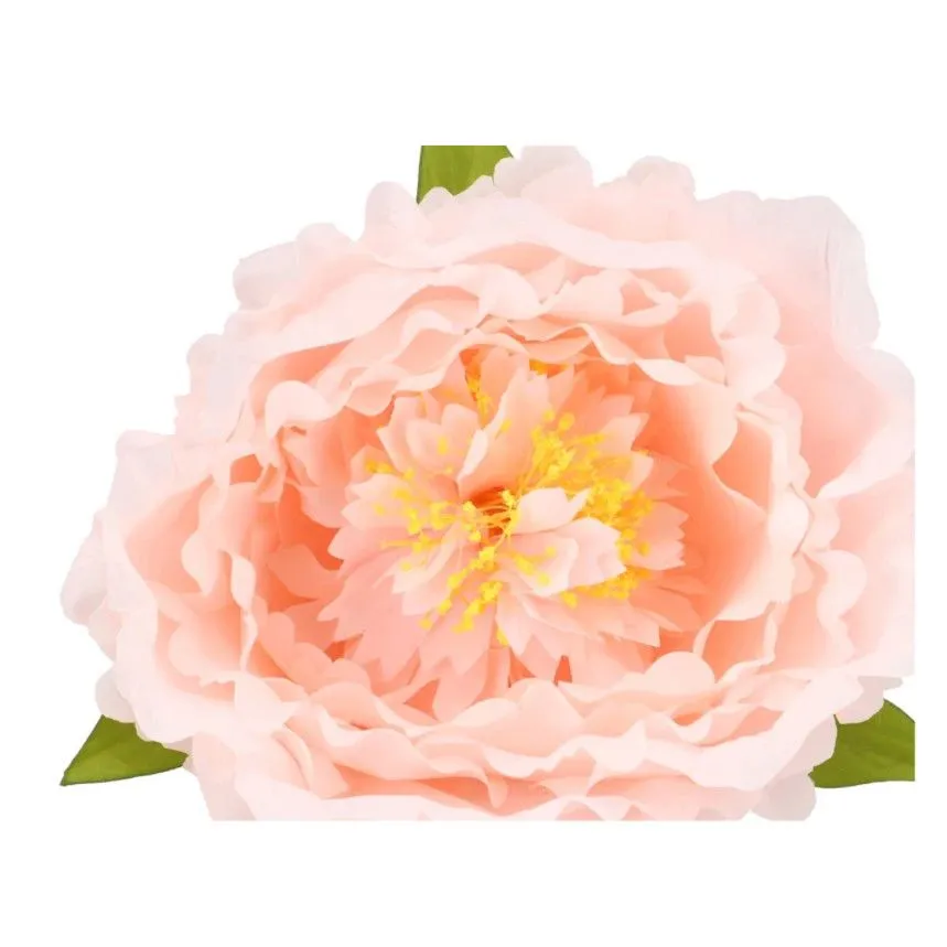 Kuntlill Peony H115 heleroosa