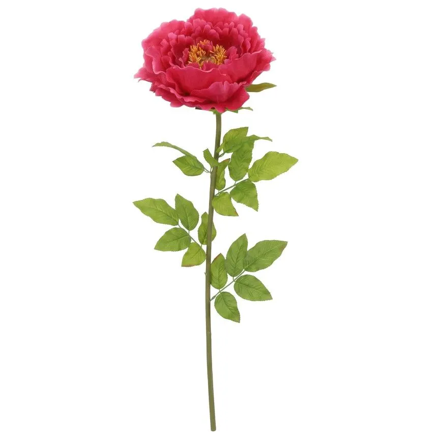 Kuntlill Peony H115 fuksia