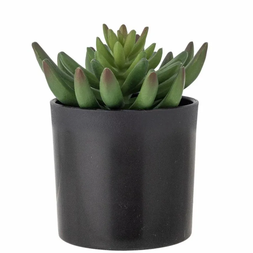 Bloomingville kunsttaim Echeveria H14 roheline