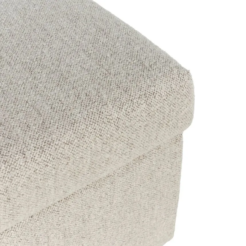 Keskmine moodul Clara hallikasbeež