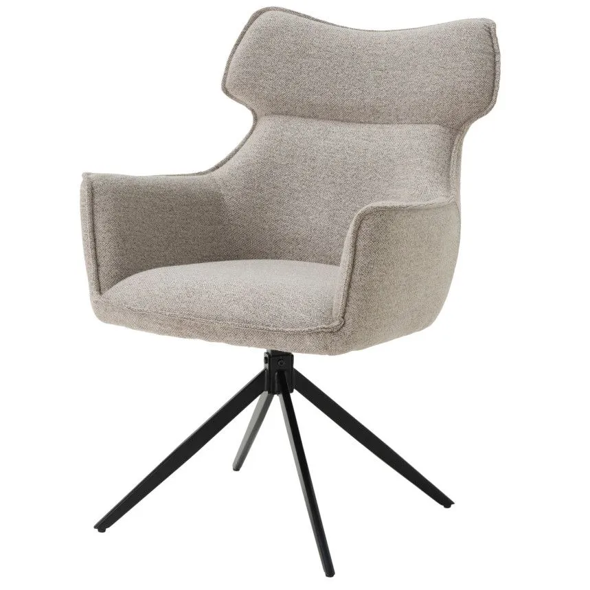 Tool Anila hallikasbeež