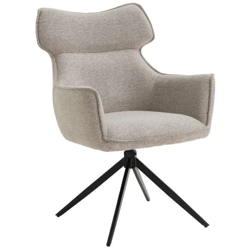 Tool Anila hallikasbeež