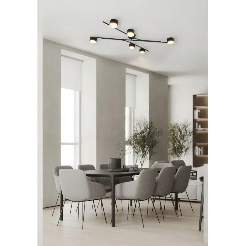 Select laelamp Coda 6 must