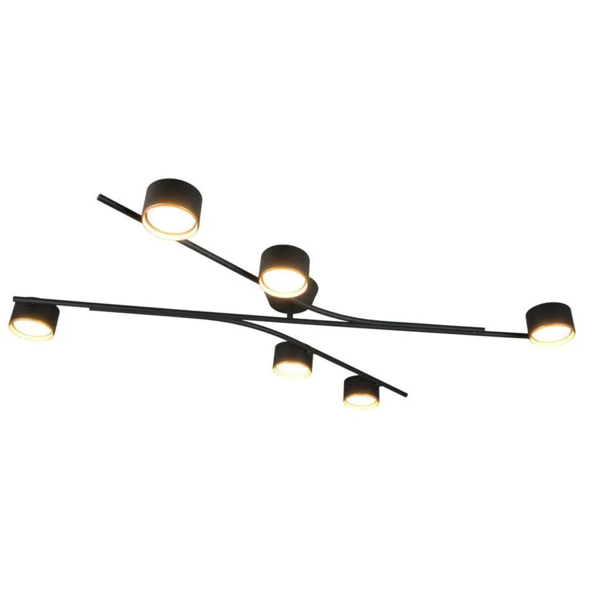 Select laelamp Coda 6 must