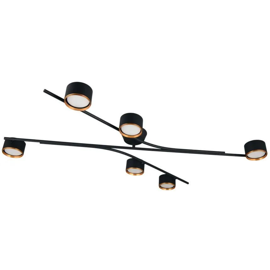 Select laelamp Coda 6 must