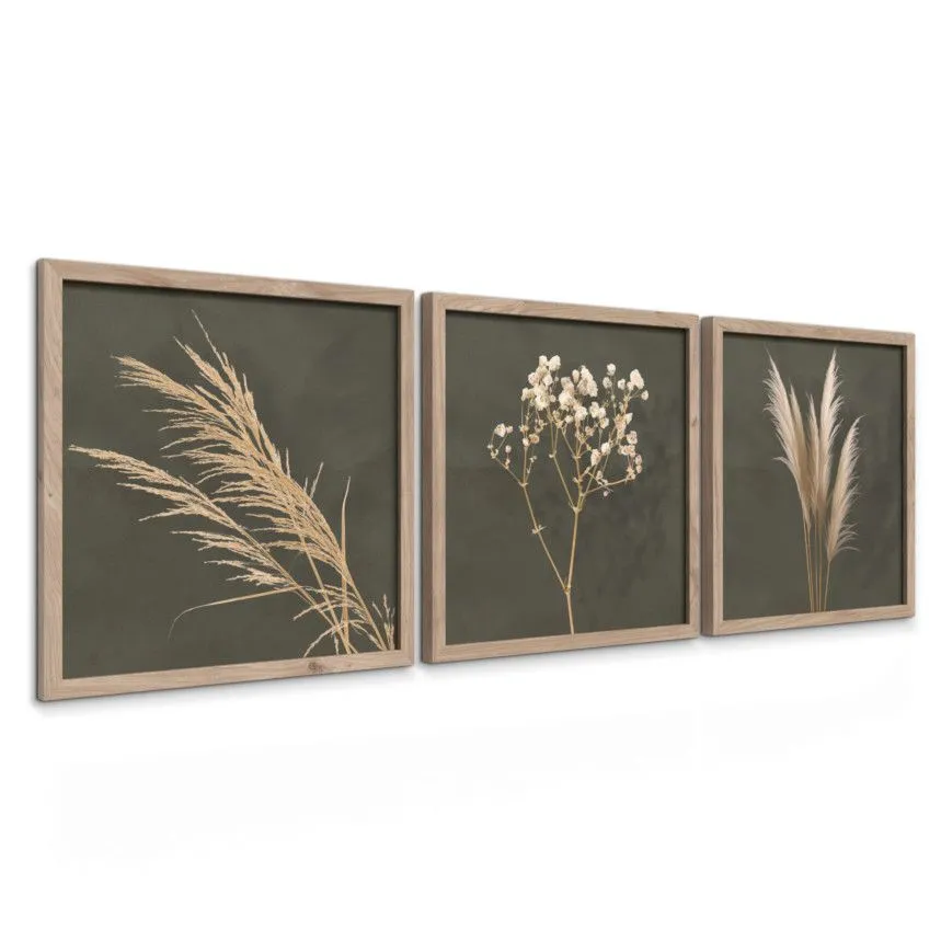 Seinapiltide komplekt Pampas roheline