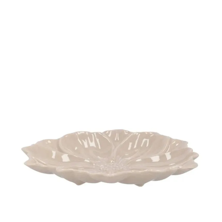 Taldrik Bloom Cosmea D11 hall