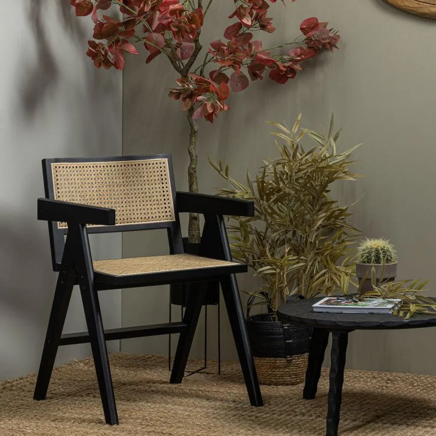 WOOOD tool Gunn must/pruun