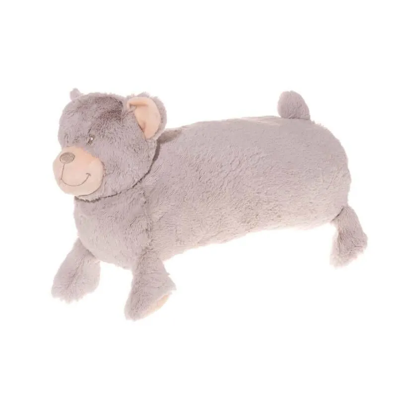 Padi Teddy hall
